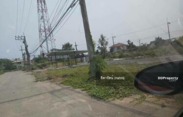 ขายที่ดินเปล่า13 ไร่ 390 ตร. ว. ติดถนนสายเชียงใหม่-ฮอด หางดง เชียงใหม่