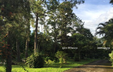 ขายที่ดินพร้อมบ้านสองหลัง อ. แม่แตง จ. เชียงใหม่ 10. 73 ไร่ ไร่