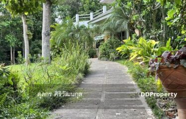 ขายที่ดินพร้อมบ้านสองหลัง อ. แม่แตง จ. เชียงใหม่ 10. 73 ไร่ ไร่