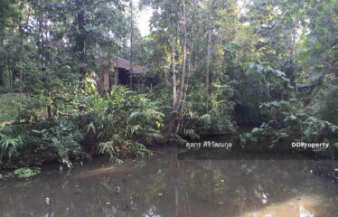 ขายที่ดินพร้อมบ้านสองหลัง อ. แม่แตง จ. เชียงใหม่ 10. 73 ไร่ ไร่
